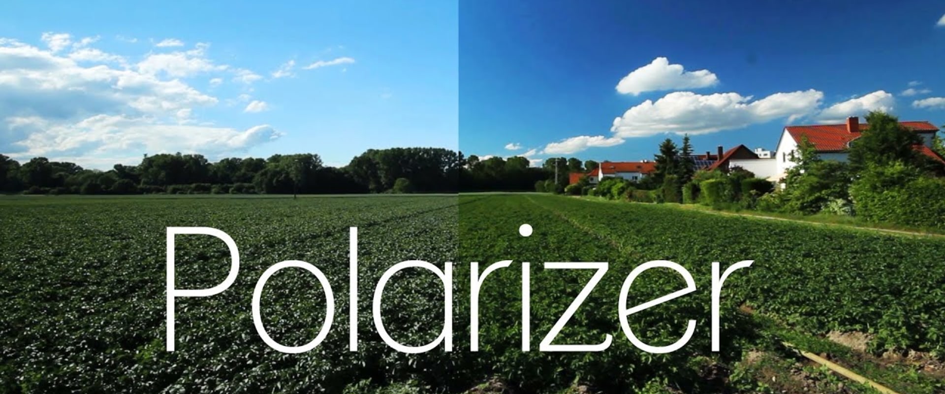 Unlock the Power of Polarizing Filters in Photography
