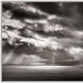 Which Filter is Best for Black and White Photography?